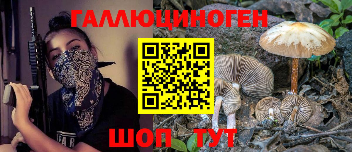 Галлюциногенные грибы ЛСД Орёл